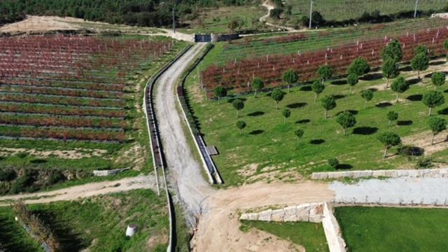 Quinta Do Carregal Βίλα Mangualde Εξωτερικό φωτογραφία